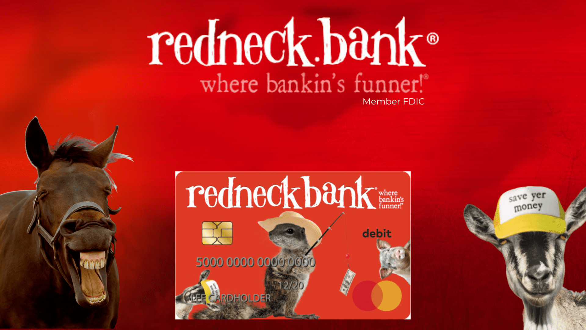 Redneck Bank: Where Banking Ain't Stuck-Up