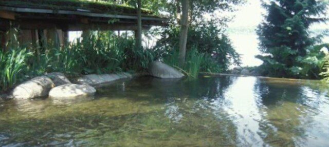 A private pond on Bill Gates’ estate 